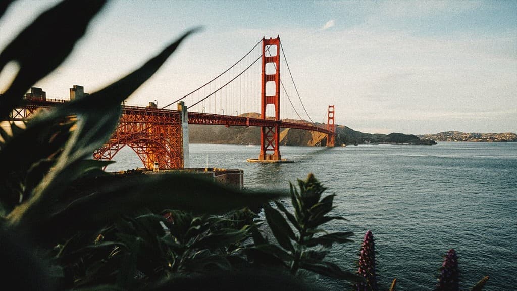 Aperçu de la plateforme